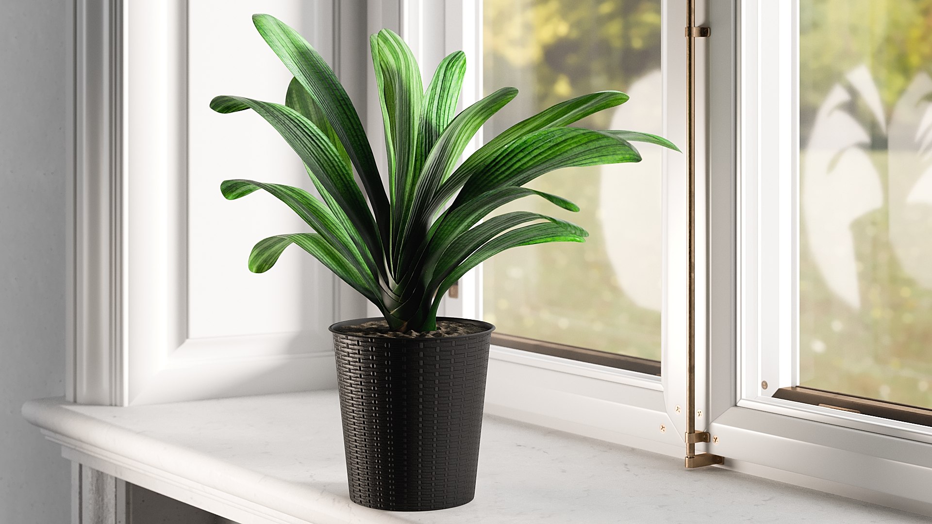 3D model Clivia with Windows https://p.turbosquid.com/ts-thumb/nV/Brd5UM/Ns/0011/jpg/1626772952/1920x1080/fit_q87/2226bffe8d1721b184f8ec3e805725b278ce5ac4/0011.jpg