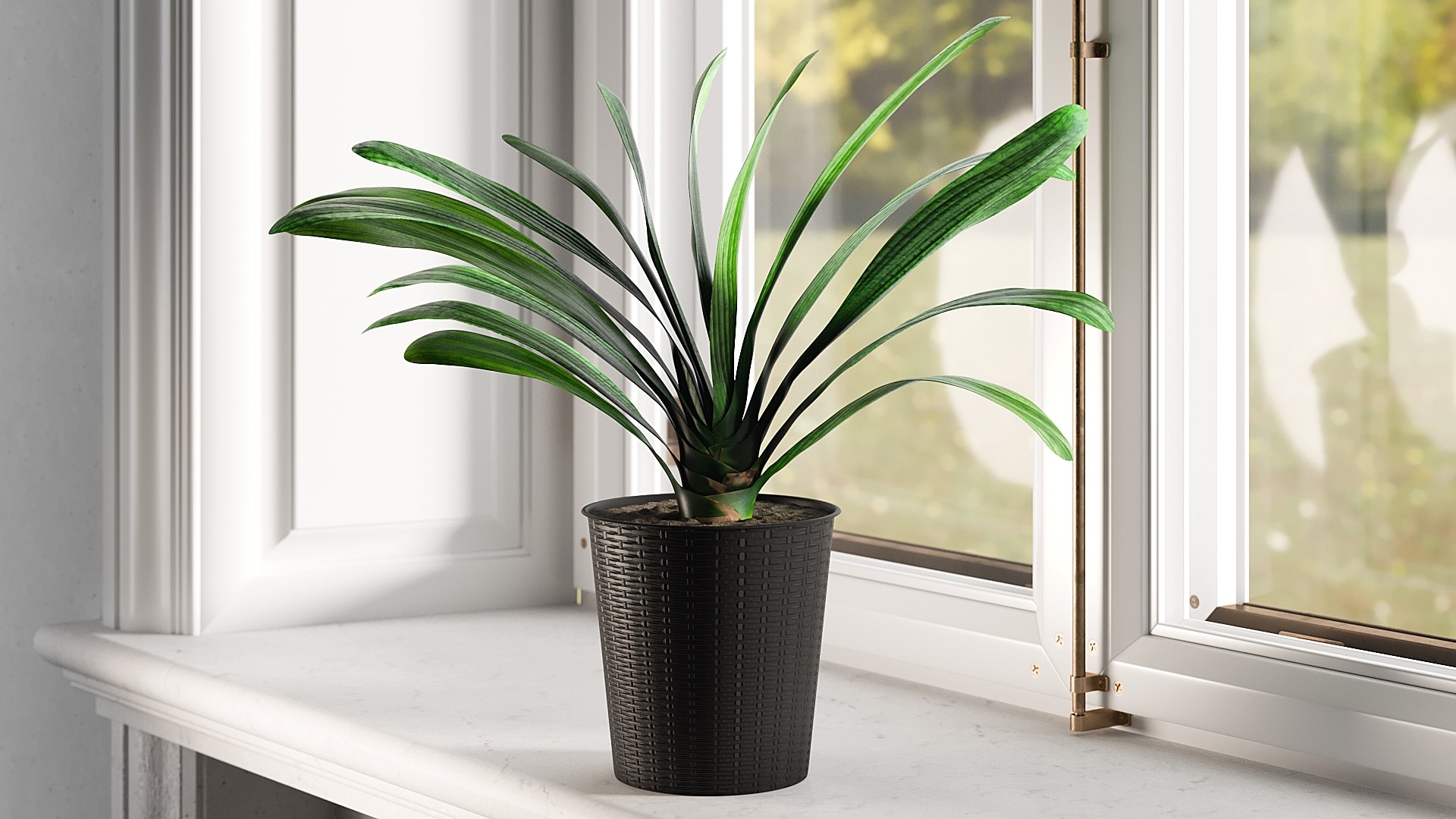 3D model Clivia with Windows https://p.turbosquid.com/ts-thumb/nV/Brd5UM/Sp/0032/jpg/1626772953/1920x1080/fit_q87/bcf2c9b1f1537bbaebd4be566952bcb2f9dc909c/0032.jpg