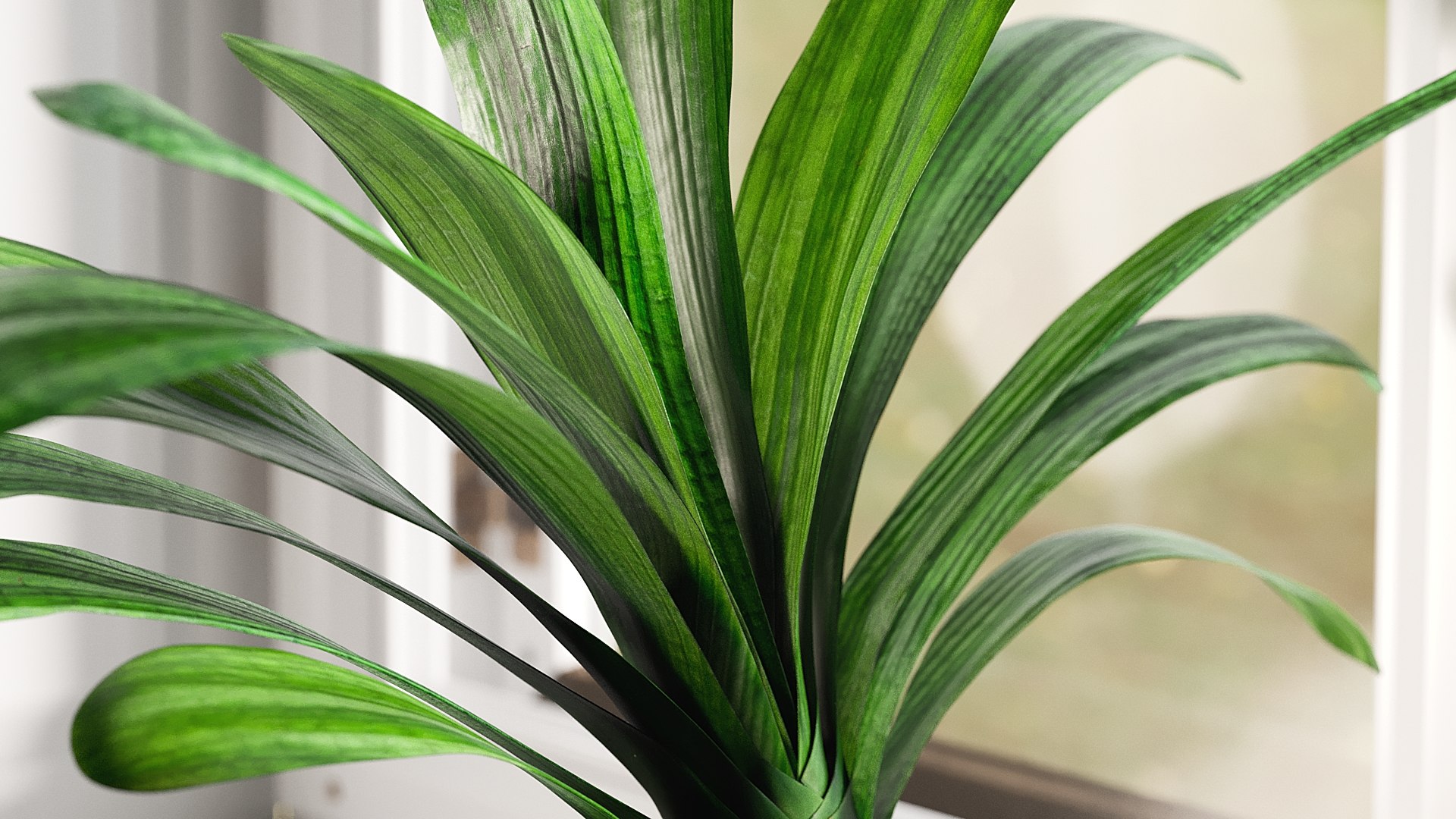 3D model Clivia with Windows https://p.turbosquid.com/ts-thumb/nV/Brd5UM/Xk/_view02/jpg/1626765890/1920x1080/fit_q87/2d637078b89b90413391533b7d1a0b3f42806c63/_view02.jpg