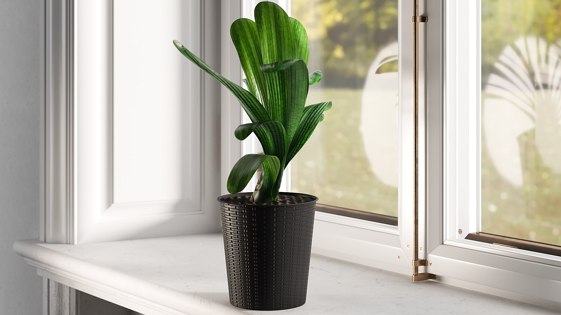 3D model Clivia with Windows https://p.turbosquid.com/ts-thumb/nV/Brd5UM/Zz/0023/jpg/1626772952/1920x1080/fit_q87/ee26f4f19a877d3bf6b6bb59056a42e10f4b2aec/0023.jpg