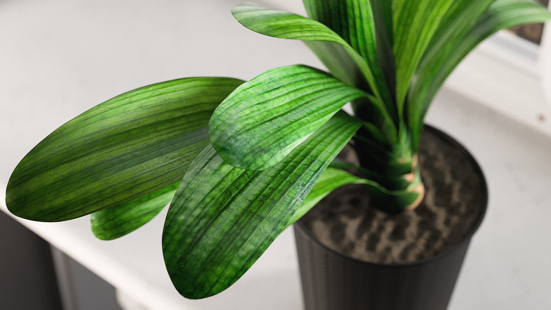 3D model Clivia with Windows https://p.turbosquid.com/ts-thumb/nV/Brd5UM/s1/_view03/jpg/1626765888/1920x1080/fit_q87/cede5bec327afadb50e03d6876515e8425d18630/_view03.jpg