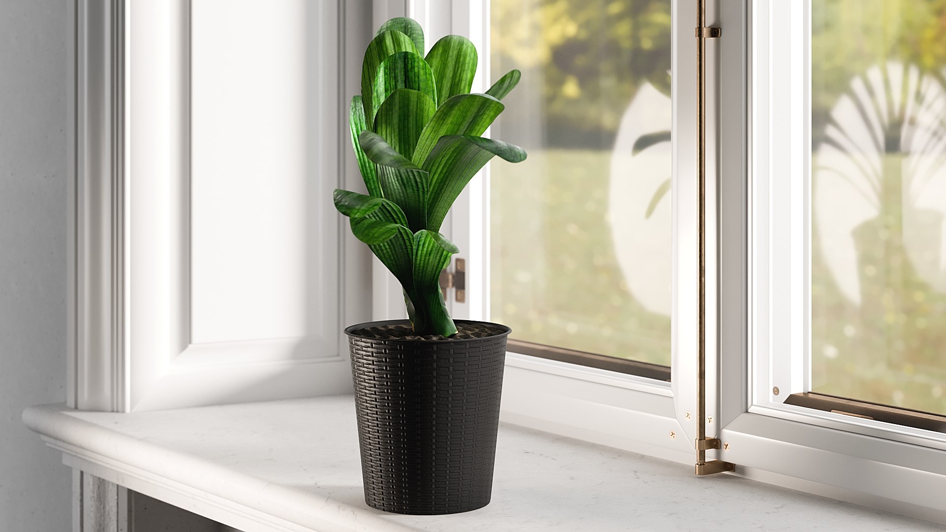 3D model Clivia with Windows https://p.turbosquid.com/ts-thumb/nV/Brd5UM/u5/0006/jpg/1626772952/1920x1080/fit_q87/c79fbdf2f1bd9596807270d4abfe8fa15fc57e1f/0006.jpg