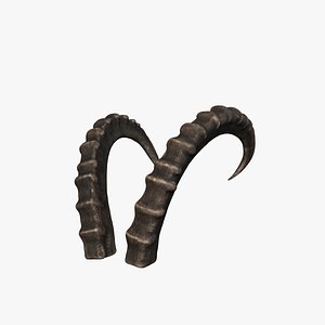 Horn V5