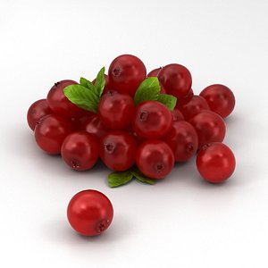cranberry berry 3D model