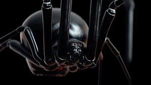 Rigged Black Widow Spider