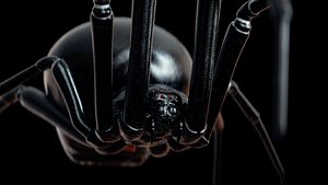 Rigged Black Widow Spider