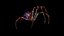3D model black widow spider