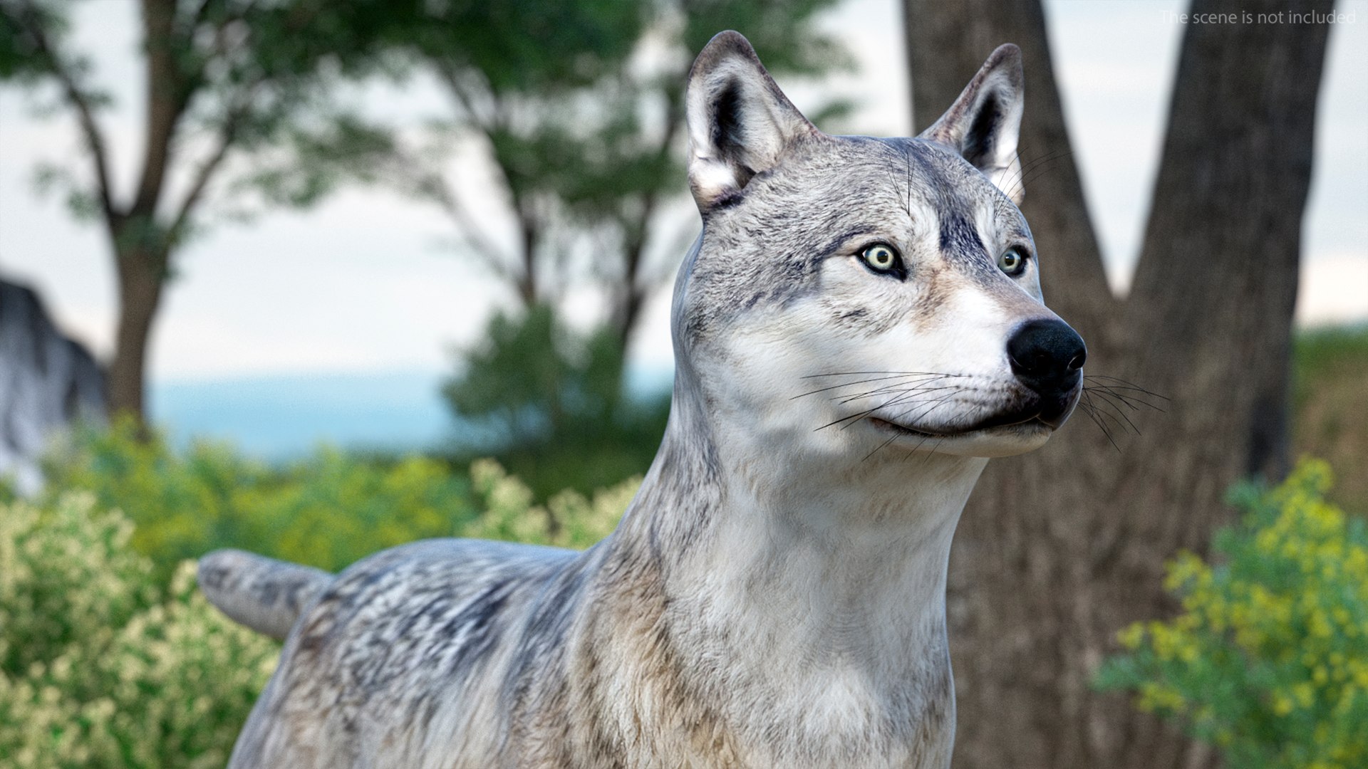 Wolf Rigged model https://p.turbosquid.com/ts-thumb/nV/QJKhdR/UI/wolfriggedvray3dmodel013/jpg/1713322706/1920x1080/fit_q87/d3c5b200136165a5efd7b6afc4379b77d1c7b95a/wolfriggedvray3dmodel013.jpg