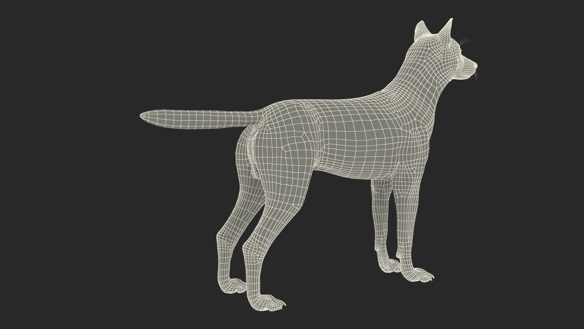 Wolf Rigged model https://p.turbosquid.com/ts-thumb/nV/QJKhdR/pL/wolfriggedvray3dmodel045/jpg/1713322813/1920x1080/fit_q87/963d9fcbebdbfcd41f1b4153a07e037baf111476/wolfriggedvray3dmodel045.jpg
