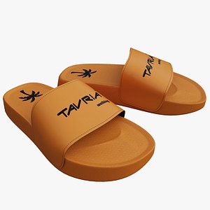 Slippers or Flip-Flops
