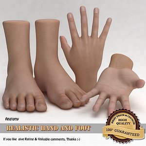 realistic hand foot 3ds