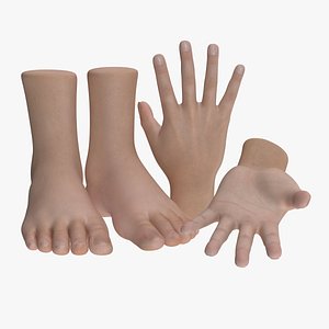 realistic hand foot 3ds