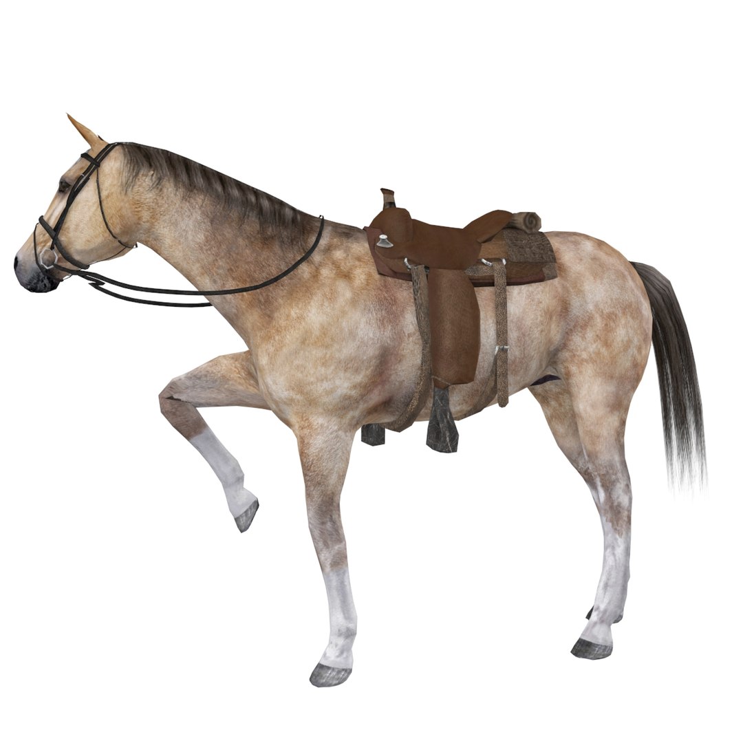 wild west ultimate pack 3D model https://p.turbosquid.com/ts-thumb/nV/h0rZmF/AwYXPzpW/c0001/jpg/1517508599/1920x1080/fit_q87/590f86c4031333b192ac59a7bc92fbe132ffafa4/c0001.jpg