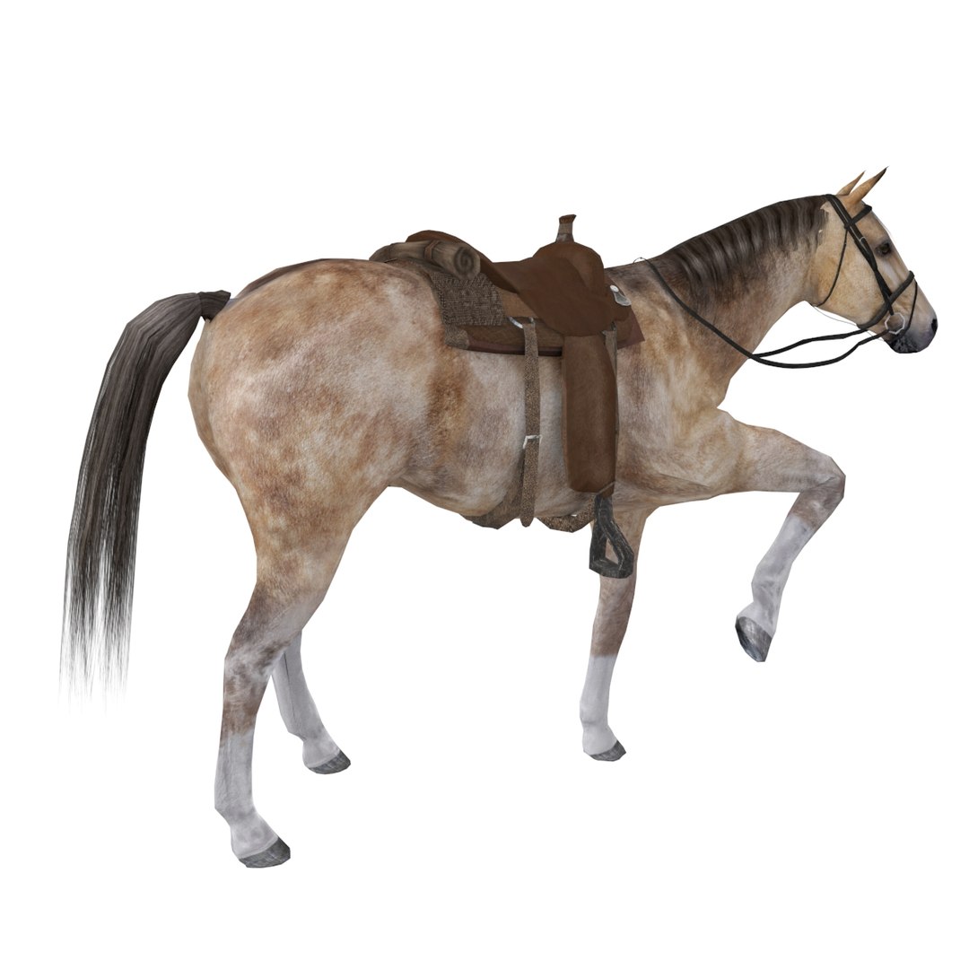 wild west ultimate pack 3D model https://p.turbosquid.com/ts-thumb/nV/h0rZmF/Dau8GfOC/c0002/jpg/1517508599/1920x1080/fit_q87/b03b2135db624f9a1239a03d2405fe489bdc3434/c0002.jpg