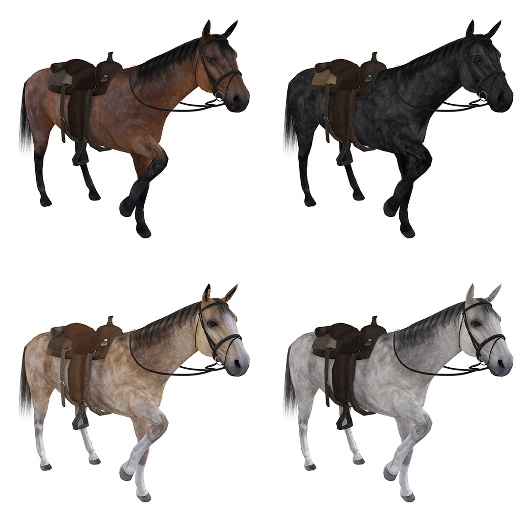 wild west ultimate pack 3D model https://p.turbosquid.com/ts-thumb/nV/h0rZmF/WRR5cwOG/1/jpg/1517508596/1920x1080/fit_q87/237779d65aad90539a5a01fb7429483a78d8710c/1.jpg