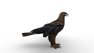 Eagle model