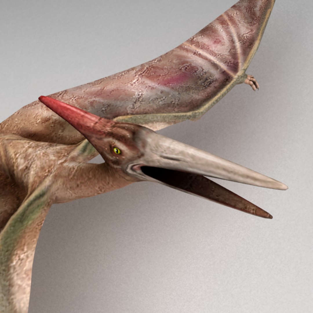 Rigged Pterosaur Max