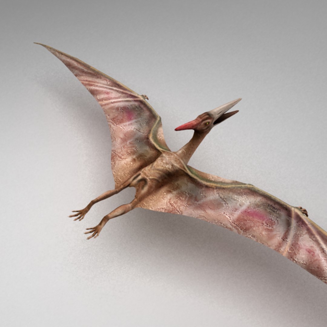 Rigged Pterosaur Max
