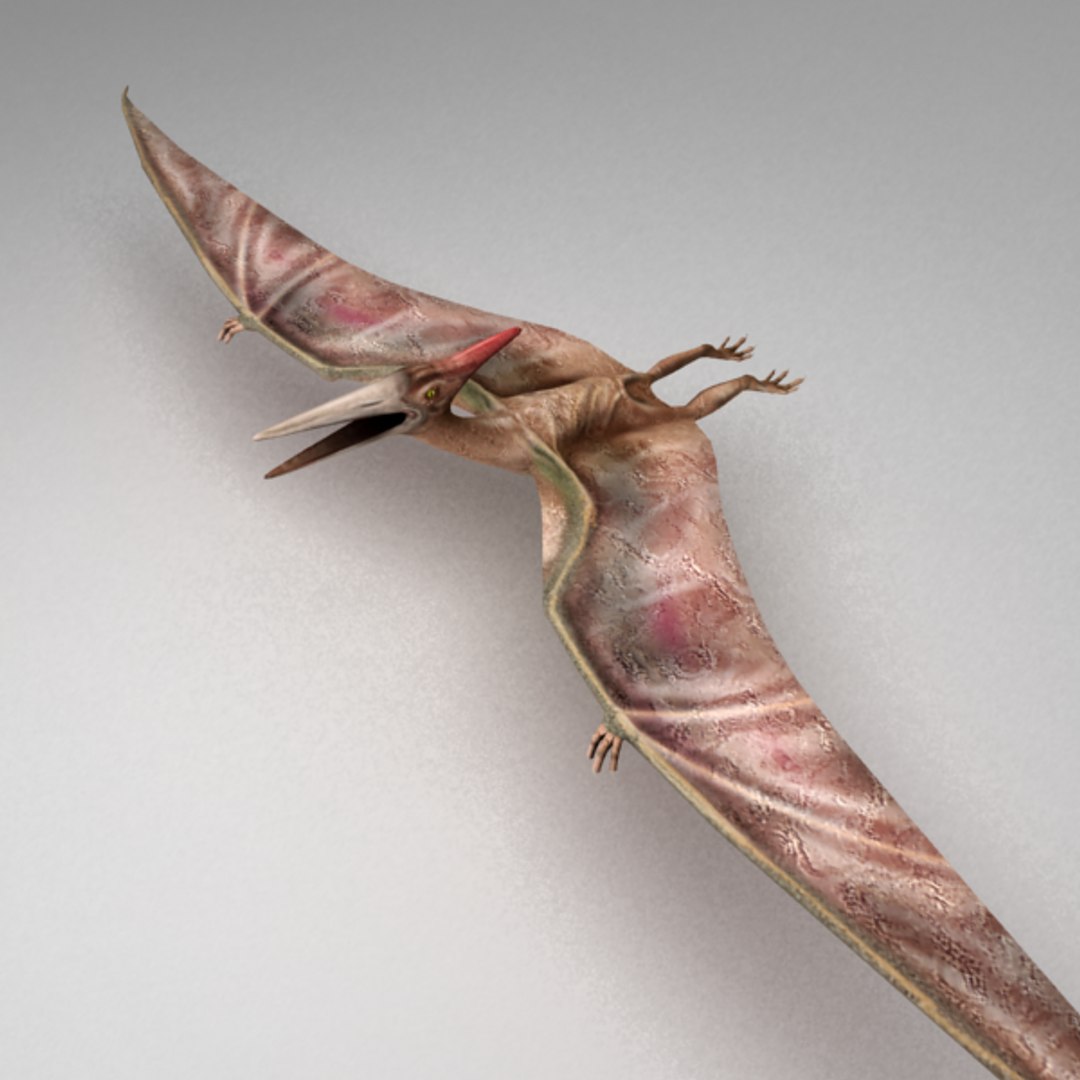 Rigged Pterosaur Max