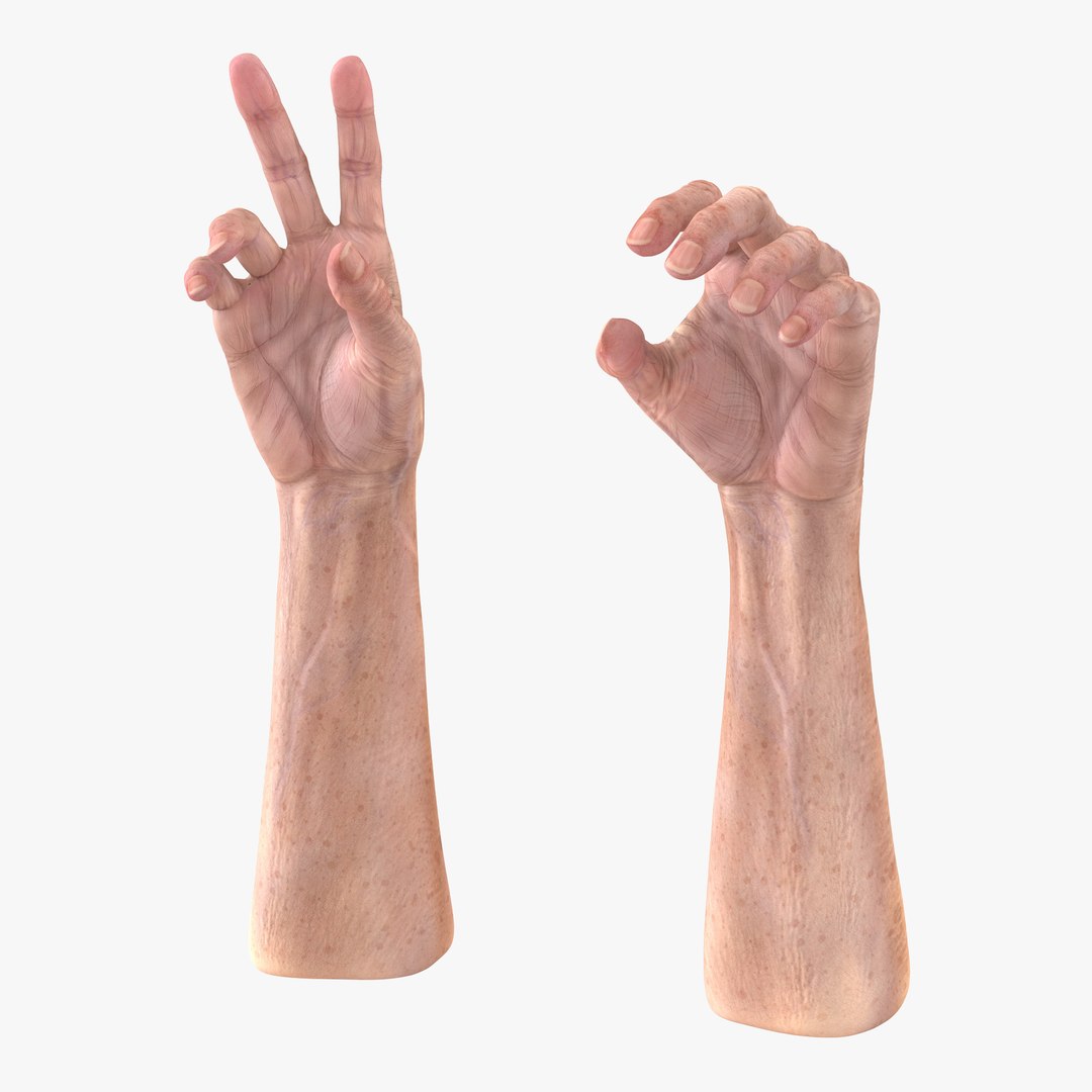 Old Man Hands 3 Rigged 3D model preview