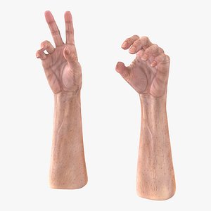 Old Man Hands 3 Rigged