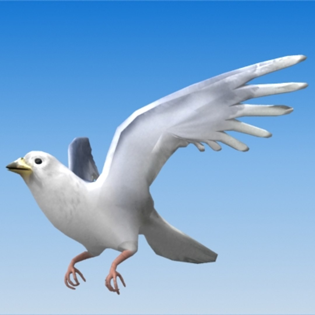 Rigged Pigeon 3d Model