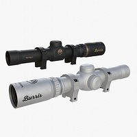 Burris hangun scope