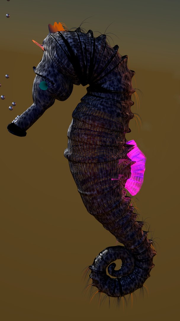 3D seahorse transparent model https://p.turbosquid.com/ts-thumb/nW/V6Lz4i/68nVy5Ox/seah_wireframe_6/png/1552665648/1920x1080/fit_q87/579239e5e39503138b3f7506cc626b5c594b3c95/seah_wireframe_6.jpg