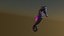 Seahorse