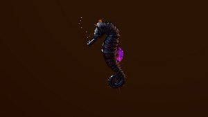 Seahorse
