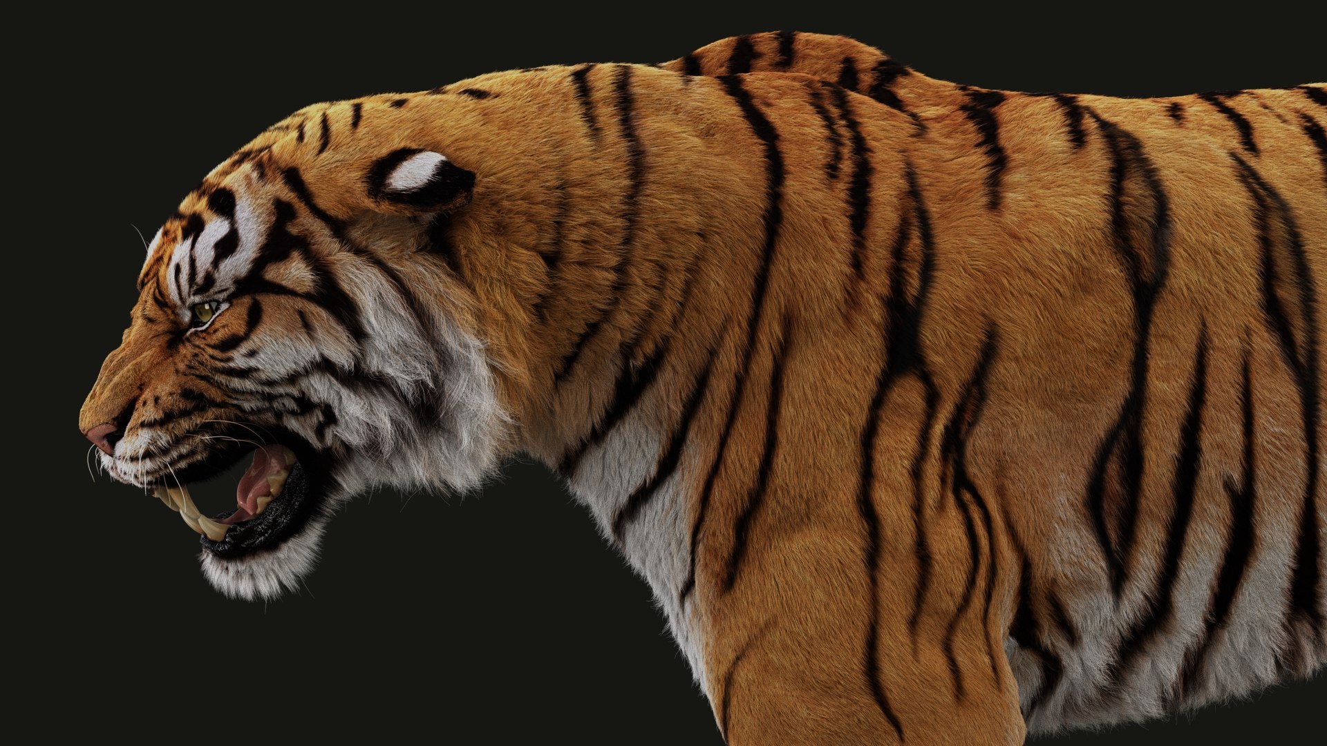 modèle 3D de Tigre du Bengale (FOURRURE) (ANIMÉ) - TurboSquid 1481168