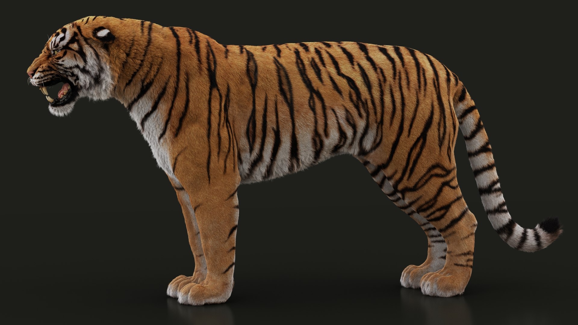 Bengal Tiger 3d model 3ds Max files free download - modeling 44070