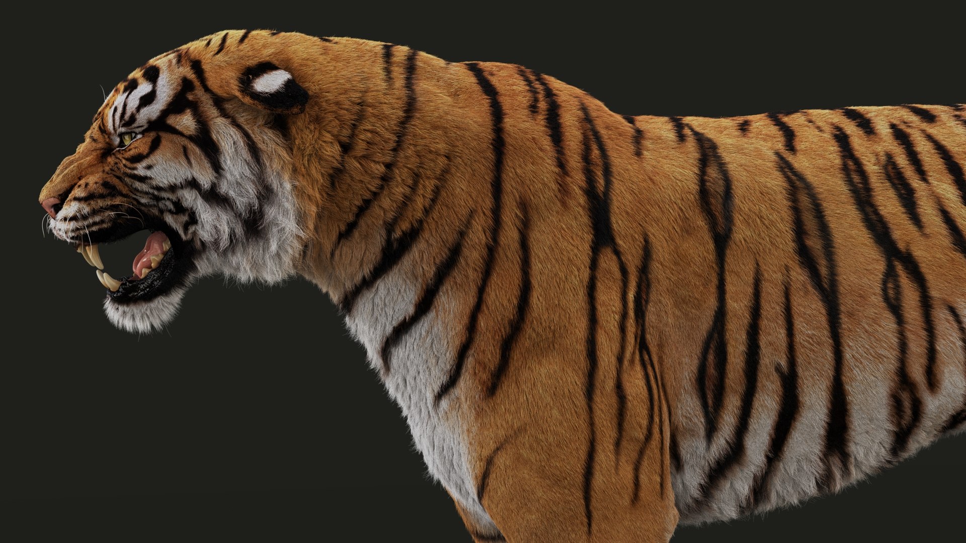 modèle 3D de Tigre du Bengale (FOURRURE) (ANIMÉ) - TurboSquid 1481168