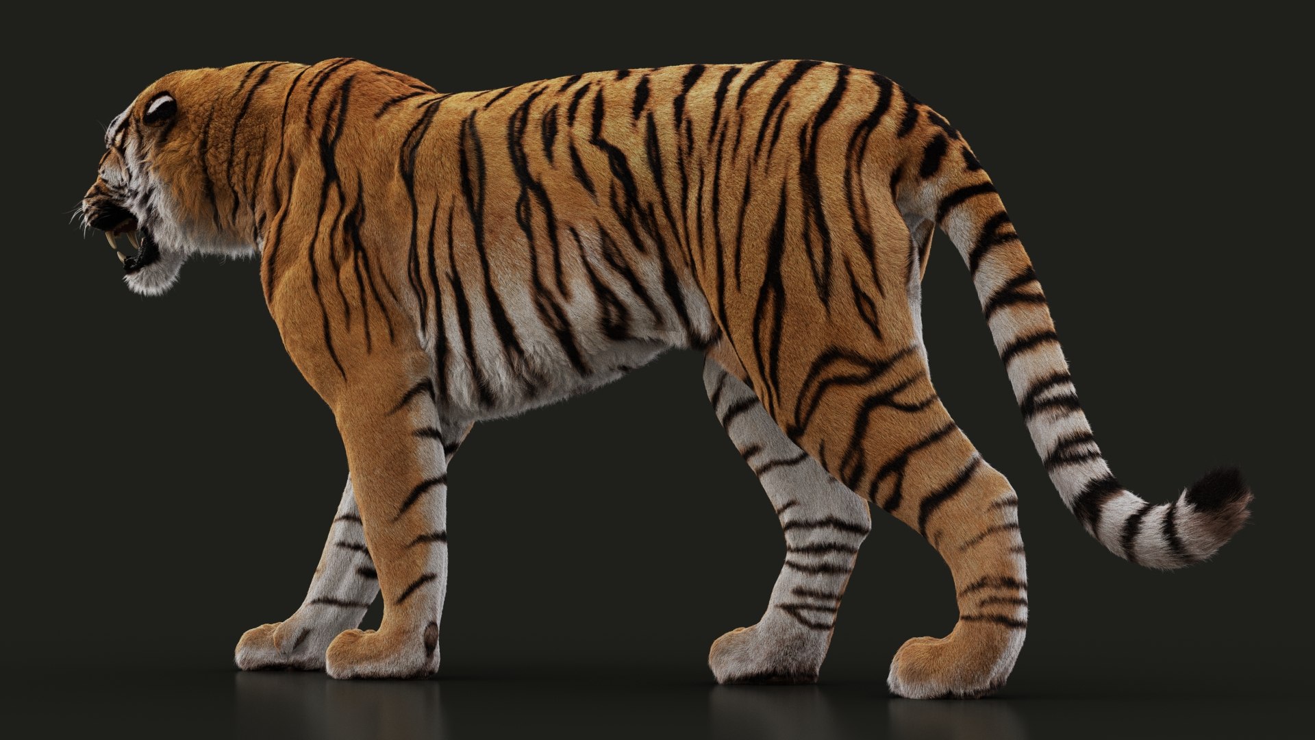 modèle 3D de Tigre du Bengale (FOURRURE) (ANIMÉ) - TurboSquid 1481168