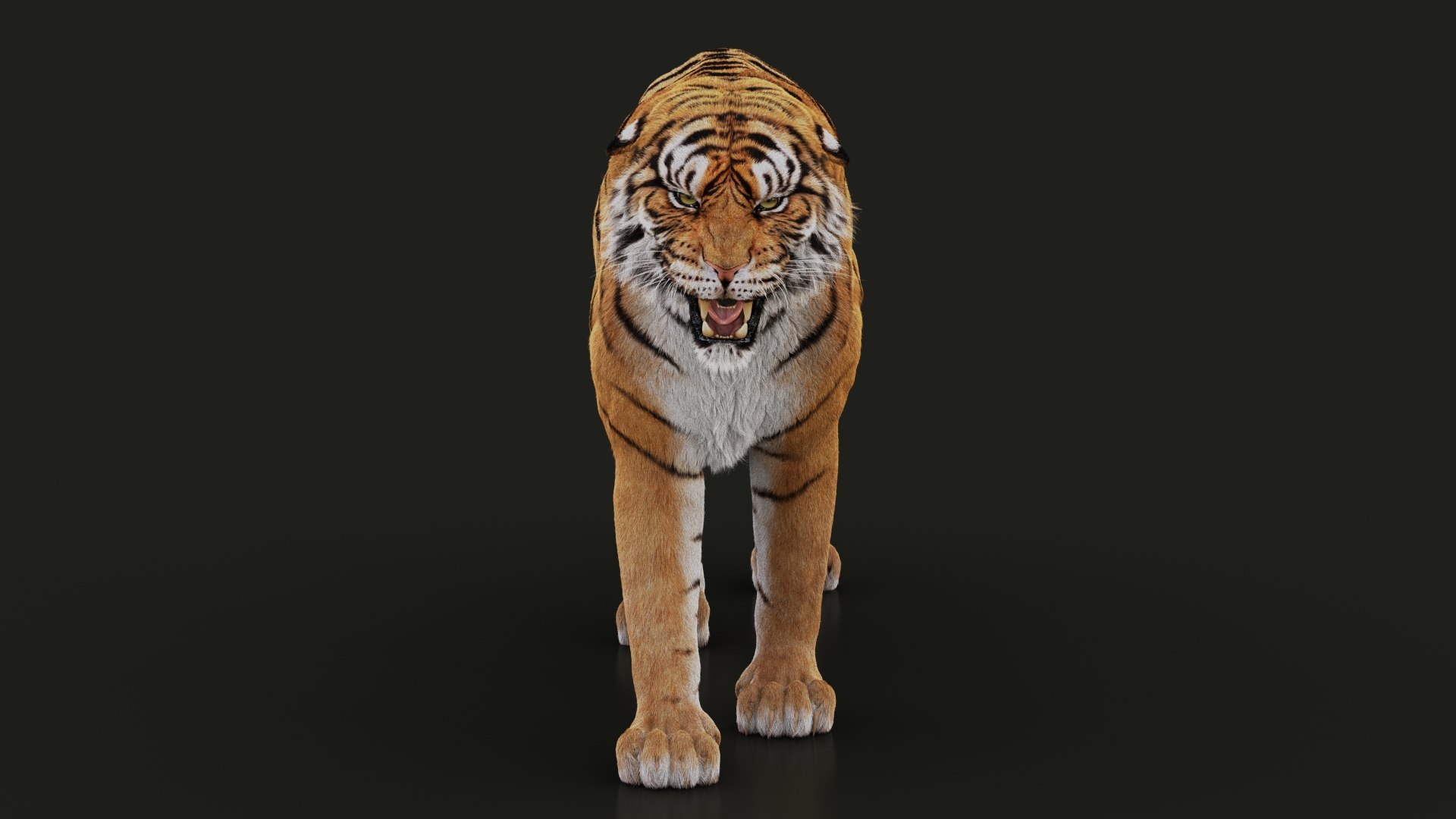 modèle 3D de Tigre du Bengale (FOURRURE) (ANIMÉ) - TurboSquid 1481168