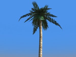 3d model of palm tree
