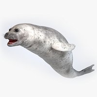 Common Seal