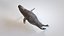 Common Seal