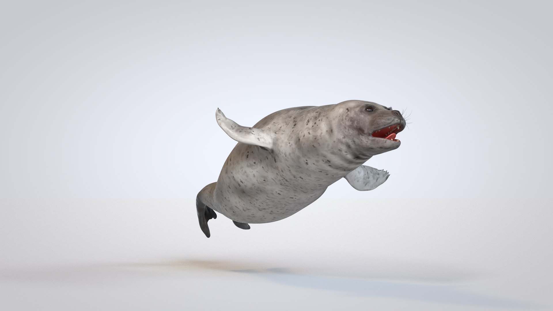 seal 3D model https://p.turbosquid.com/ts-thumb/nW/qhCXRQ/MMVP9nmS/seal0002/png/1573465325/1920x1080/fit_q87/eae621b988a8cbe58c1e67135ce2bbfd1ab205e8/seal0002.jpg