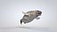 Common Seal