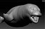 Common Seal