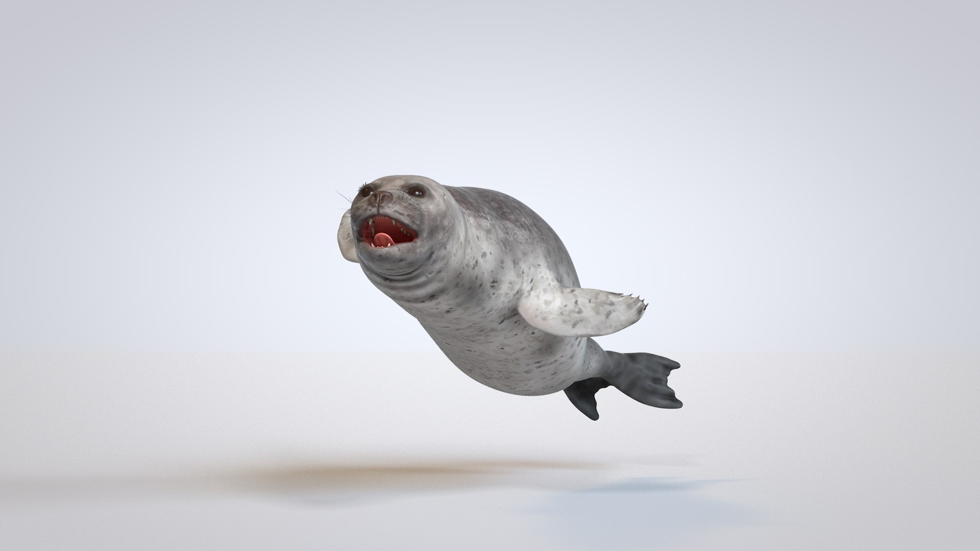 seal 3D model https://p.turbosquid.com/ts-thumb/nW/qhCXRQ/gJS9izFQ/seal0001/png/1573465325/1920x1080/fit_q87/989b7f2afcb58e001127edd4b9d84f1273c913b5/seal0001.jpg