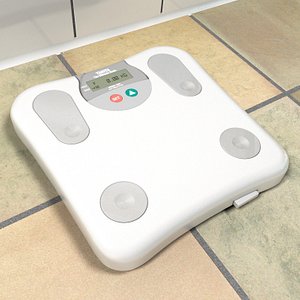 3d bathroom scale model