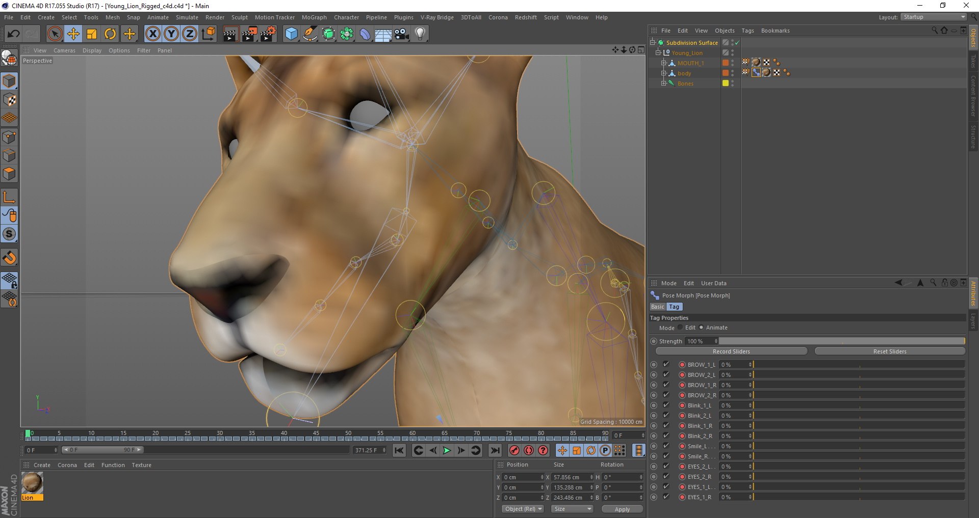 3D Young White Lion Rigged for Cinema 4D https://p.turbosquid.com/ts-thumb/nW/yMOq6e/3w/young_white_lion_rigged_c4d_04/jpg/1626700834/1920x1080/fit_q87/9ab8cf38a330c33194964d9f9ed4a50e2212f4c4/young_white_lion_rigged_c4d_04.jpg