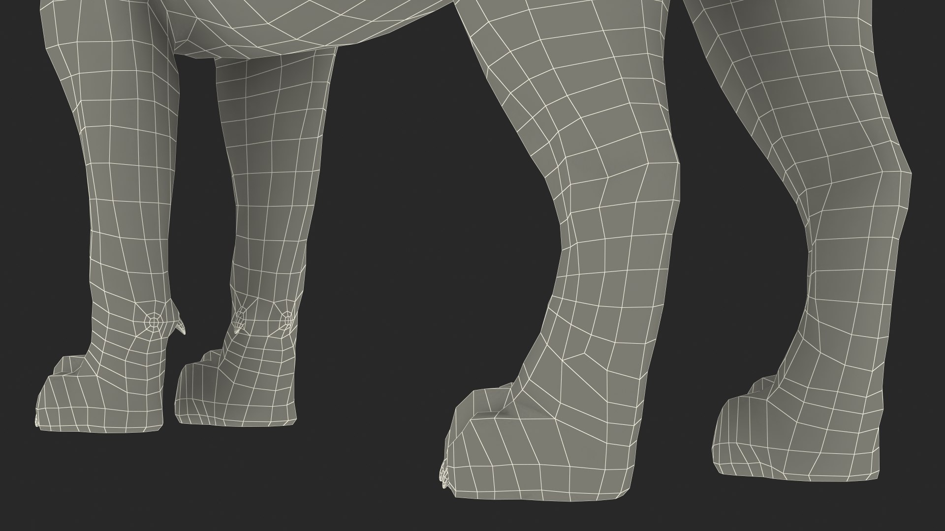 3D Young White Lion Rigged for Cinema 4D https://p.turbosquid.com/ts-thumb/nW/yMOq6e/Da/youngwhitelionriggedmb3dmodel036/jpg/1625047115/1920x1080/fit_q87/0f51a95cf0d850049a8c7598fa77ec42a45a5617/youngwhitelionriggedmb3dmodel036.jpg