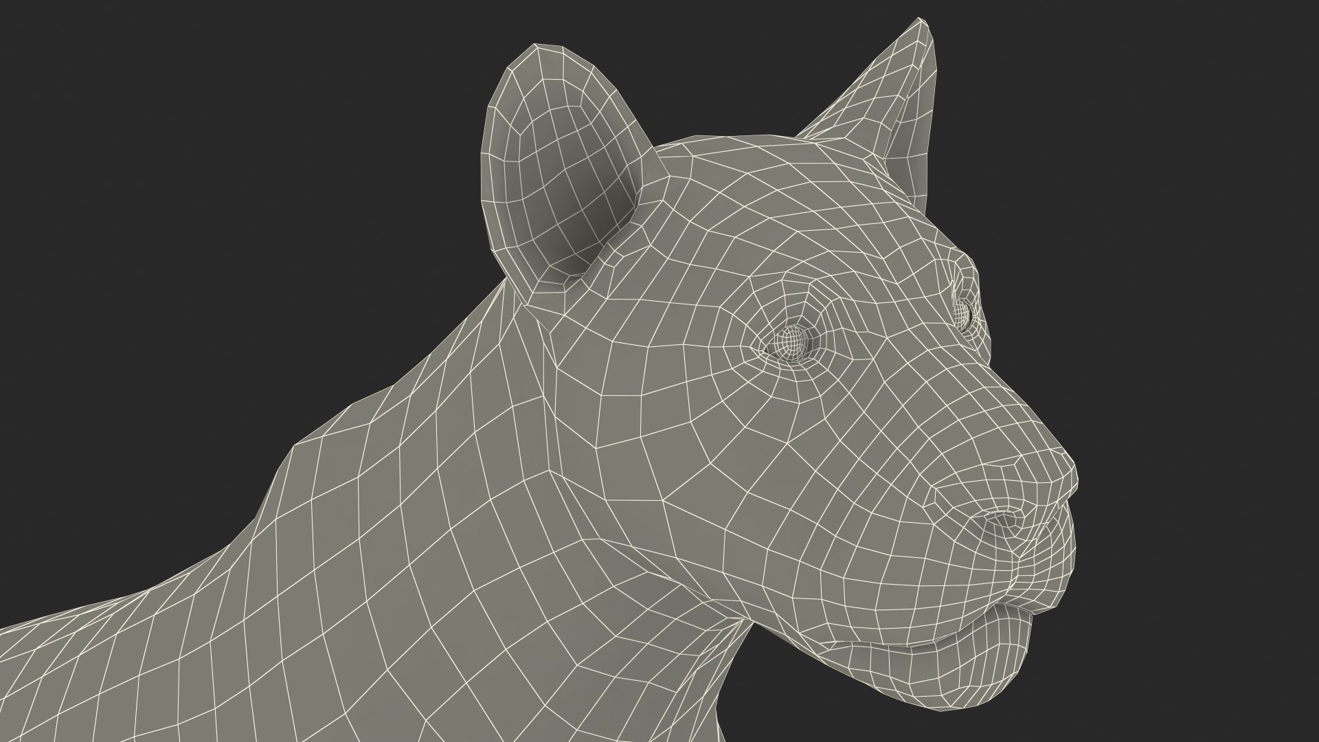 3D Young White Lion Rigged for Cinema 4D https://p.turbosquid.com/ts-thumb/nW/yMOq6e/Vm/youngwhitelionriggedmb3dmodel035/jpg/1625047112/1920x1080/fit_q87/6b1f0a8c8e581e32bb0ce591e34bb3dd5f35d8a3/youngwhitelionriggedmb3dmodel035.jpg