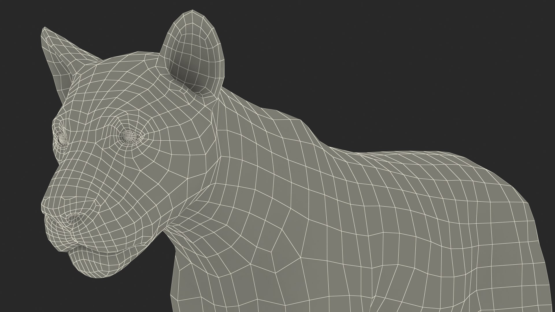 3D Young White Lion Rigged for Cinema 4D https://p.turbosquid.com/ts-thumb/nW/yMOq6e/j0/youngwhitelionriggedmb3dmodel031/jpg/1625047103/1920x1080/fit_q87/22be1a6160f20ce99a963e452d6359ad341b9202/youngwhitelionriggedmb3dmodel031.jpg
