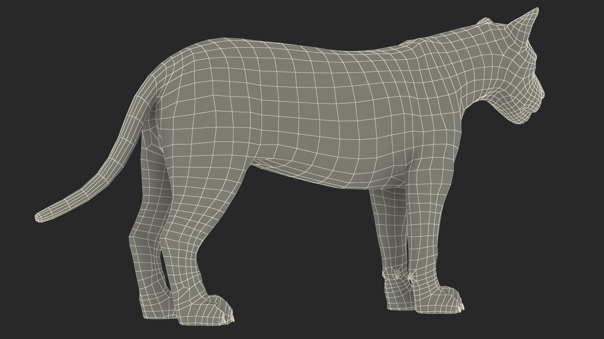 3D Young White Lion Rigged for Cinema 4D https://p.turbosquid.com/ts-thumb/nW/yMOq6e/lo/youngwhitelionriggedmb3dmodel030/jpg/1625047100/1920x1080/fit_q87/2d5dde02cccb7060623e3095ab5f7d160f384154/youngwhitelionriggedmb3dmodel030.jpg