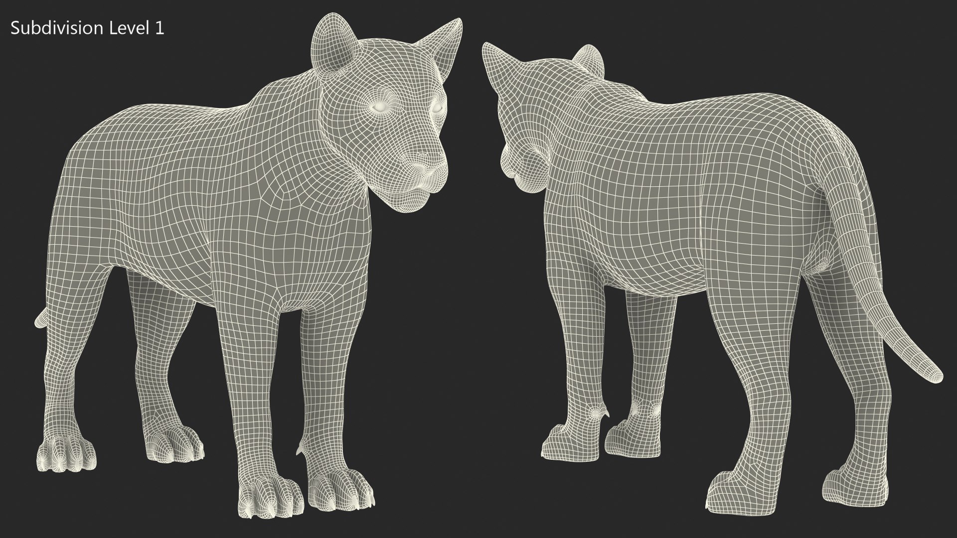 3D Young White Lion Rigged for Cinema 4D https://p.turbosquid.com/ts-thumb/nW/yMOq6e/ub/youngwhitelionriggedmb3dmodel026/jpg/1625047091/1920x1080/fit_q87/7f544f919b0892de15b2be1f73667bf12780c413/youngwhitelionriggedmb3dmodel026.jpg