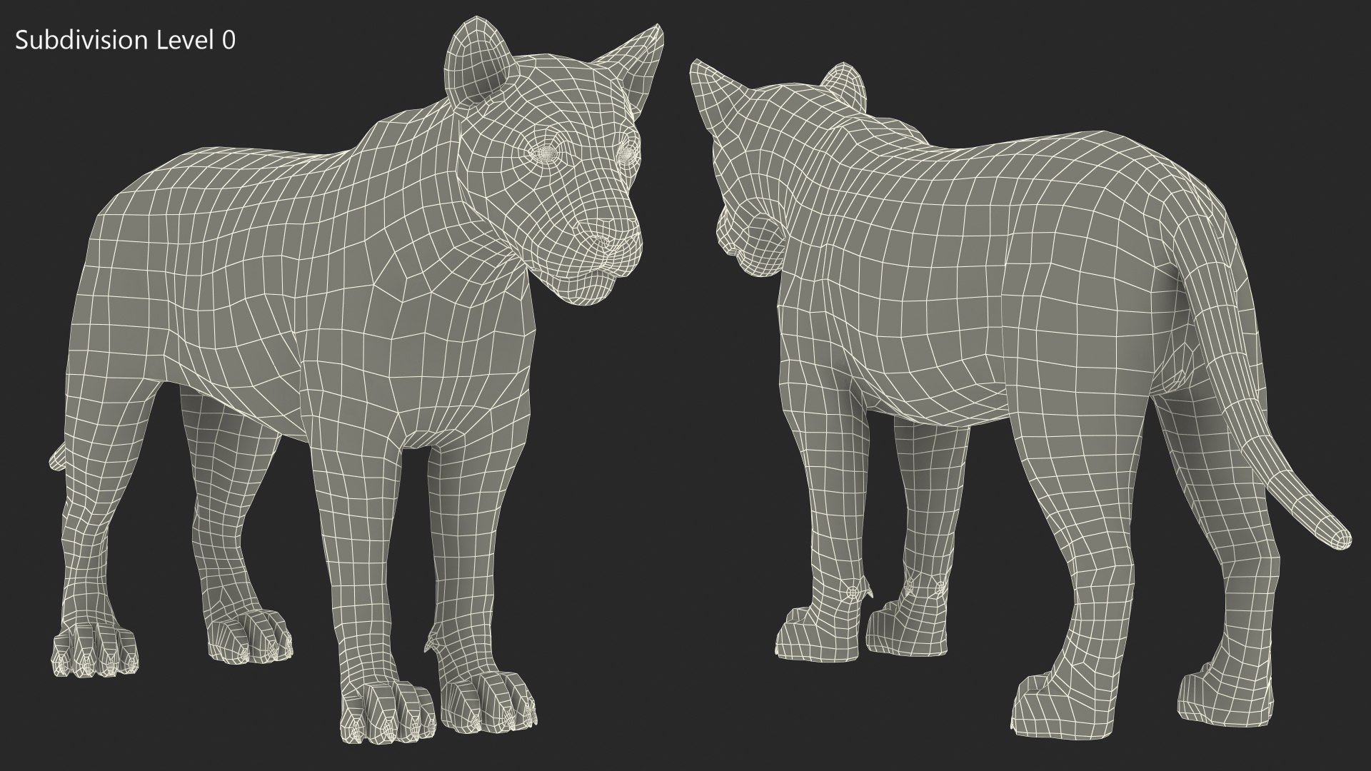 3D Young White Lion Rigged for Cinema 4D https://p.turbosquid.com/ts-thumb/nW/yMOq6e/v3/youngwhitelionriggedmb3dmodel025/jpg/1625047088/1920x1080/fit_q87/51d3112518d60ec35261b00d7f0fcd756f99a513/youngwhitelionriggedmb3dmodel025.jpg
